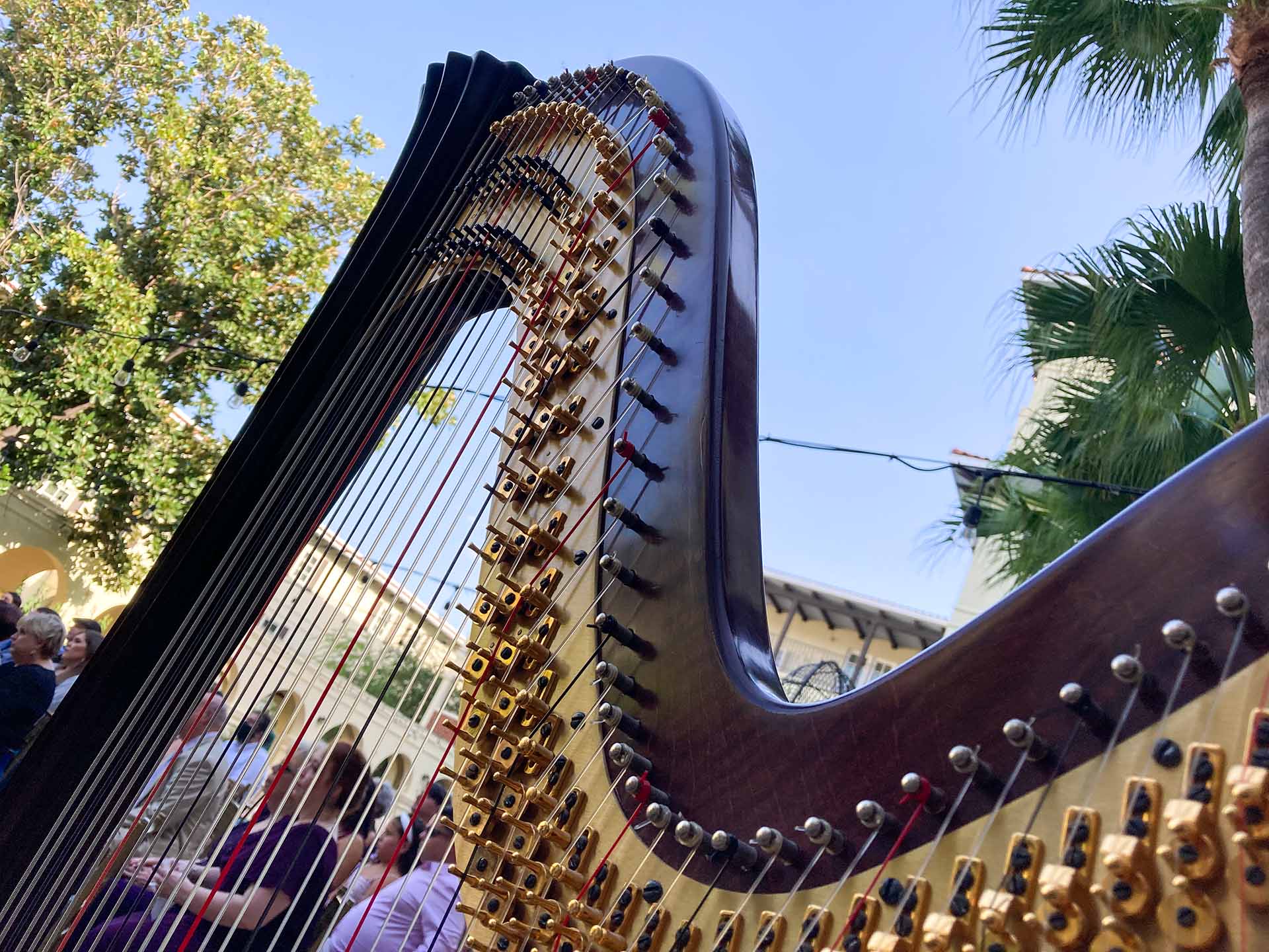 Harp in front of a crowd