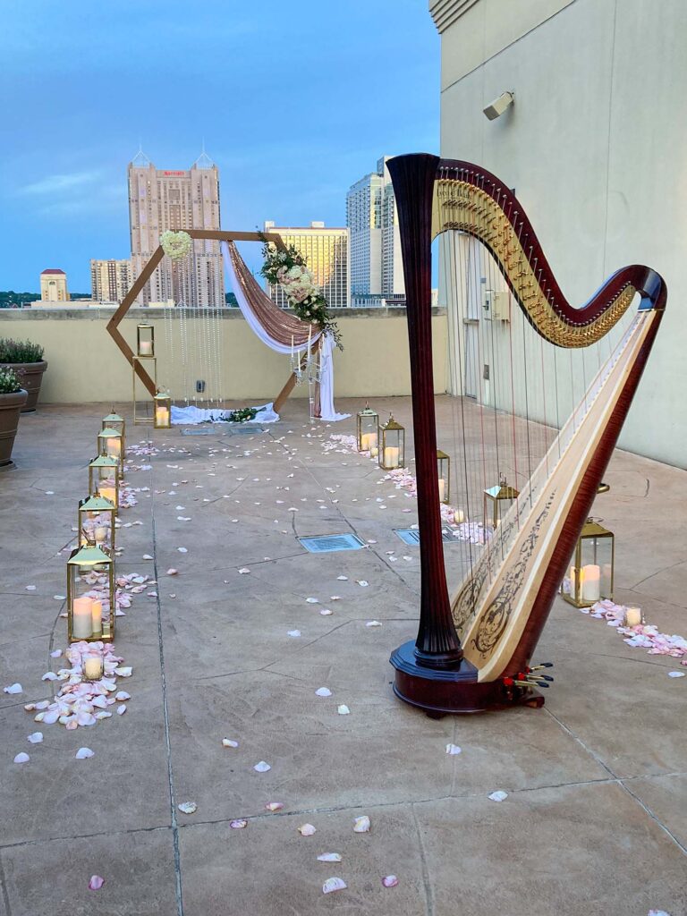 Harp in front of an event