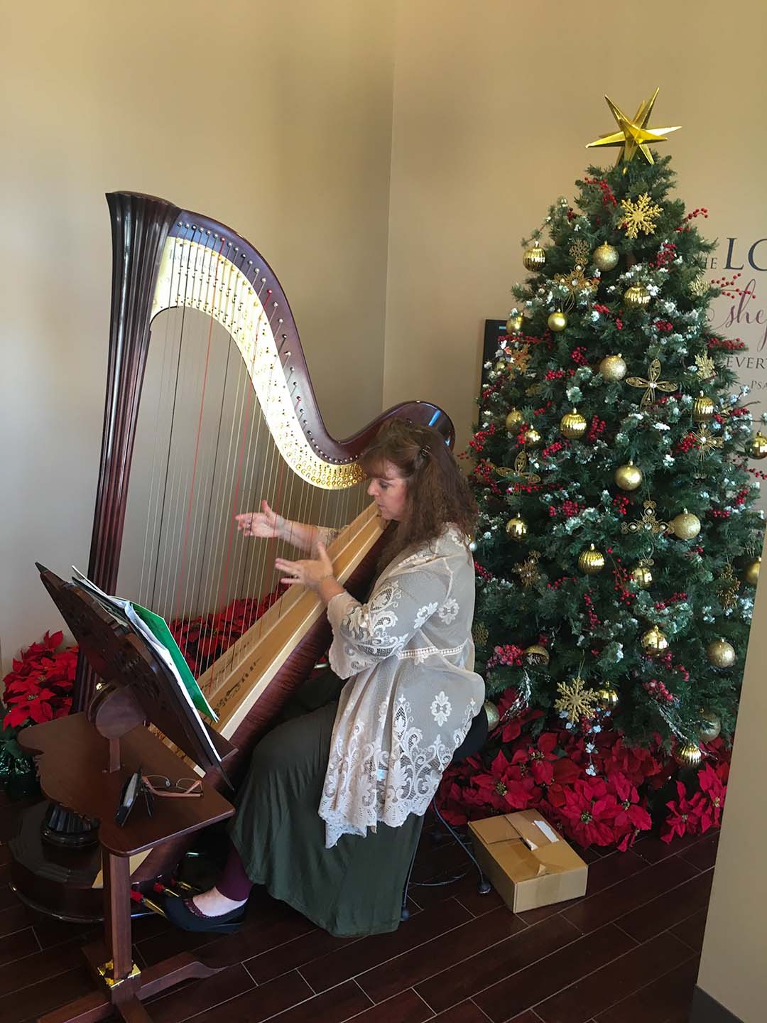 Sherri Stricker Playing Christmas